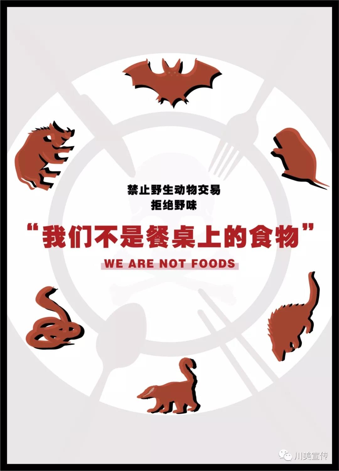 微信图片_20200212110727.jpg