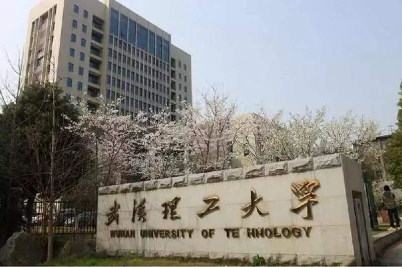 武汉理工大学2020年美术类招生简章